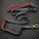 Traffic Handle Dog Leash with Neoprene Padded Handle - Hoddogs