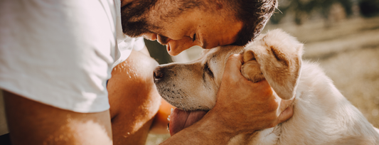 Man cooling after his senior dog with care