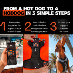 Dog Cooling Harness Kit with Gel Ice Packs