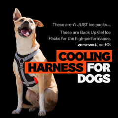 Back up Cooling Gel Ice Packs for Hoddogs Cooling Harness (Set of 2)