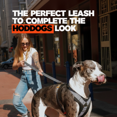 Heavy Duty Dog Leash with Padded Handle