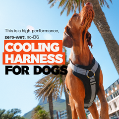 Dog Cooling Harness Kit with Gel Ice Packs