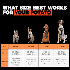 Dog collar size chart with breeds and measurements on a black background