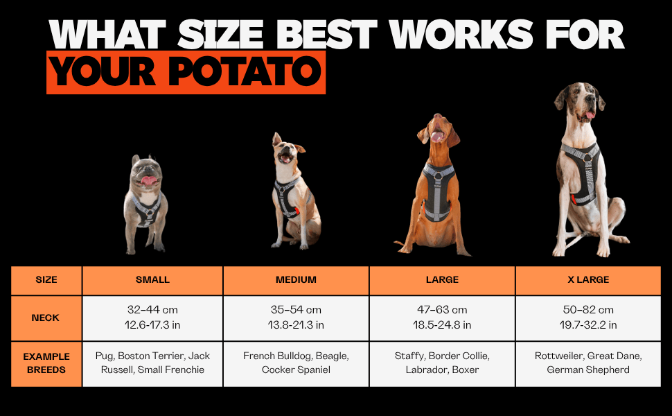 Dog collar size chart with breeds and measurements on a black background