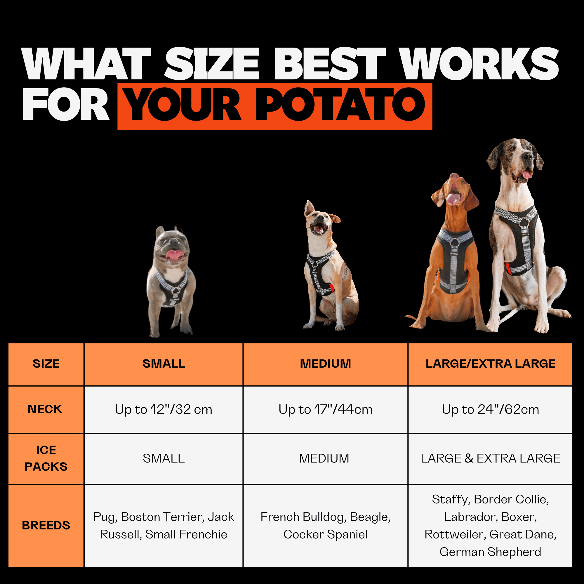 Dog harness size chart with breeds and measurements on a black background