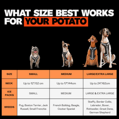 Dog harness size chart with breeds and measurements on a black background