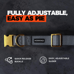 Dog collar with gold buckle on a dark background, featuring text about adjustability.