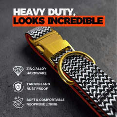 Dog collar with gold hardware on a dark background, featuring text and icons about product features.
