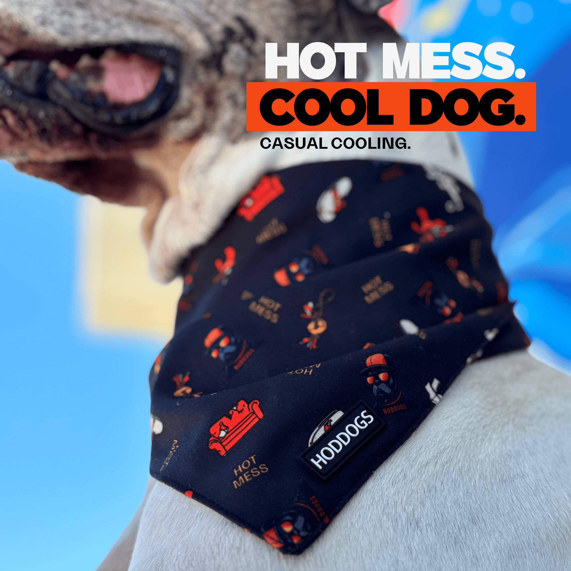 Dog wearing a bandana with 'Hoddog' branding and text 'Hot Mess. Cool Dog.' on a blue background.