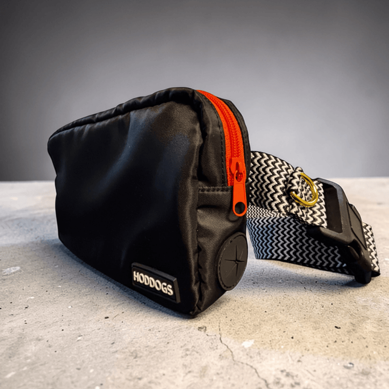 Black dog walking bag with orange zipper and 'HODDOGS' branding on a gray surface.