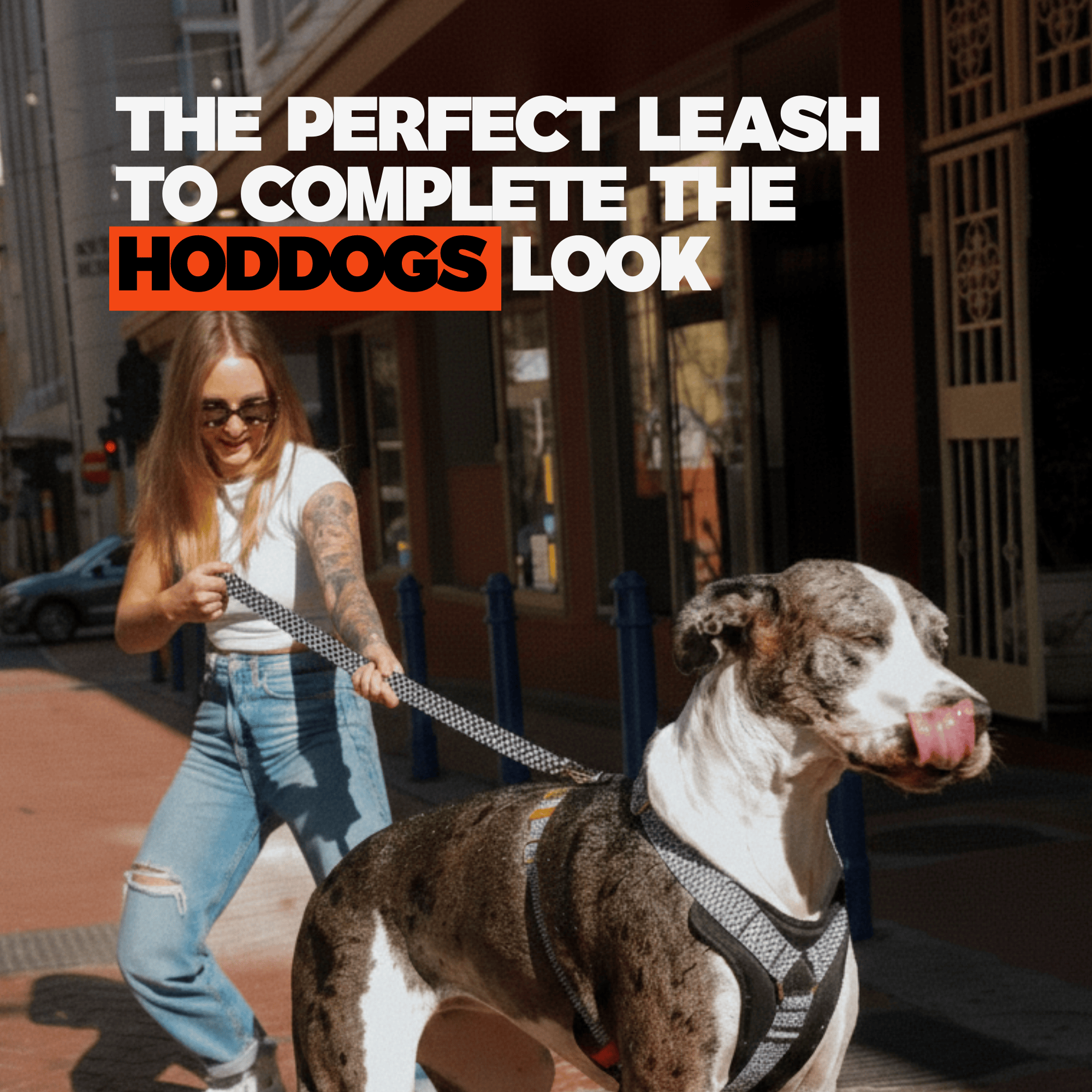 Woman walking a dog on a heavy duty leash with text overlay in an urban setting