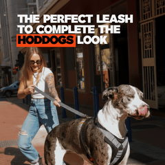 Woman walking a dog on a heavy duty leash with text overlay in an urban setting