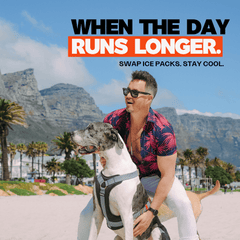 Man with a dog in a cooling dog harness on a beach with text overlay about ice packs.