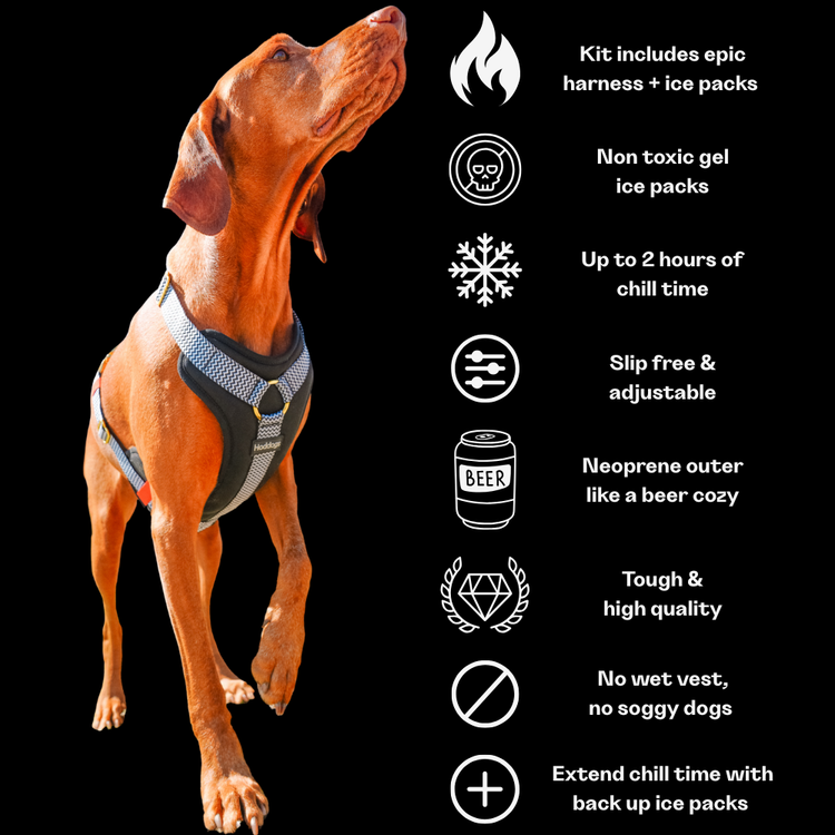 Dog wearing a cooling vest harness with product features listed on a black background