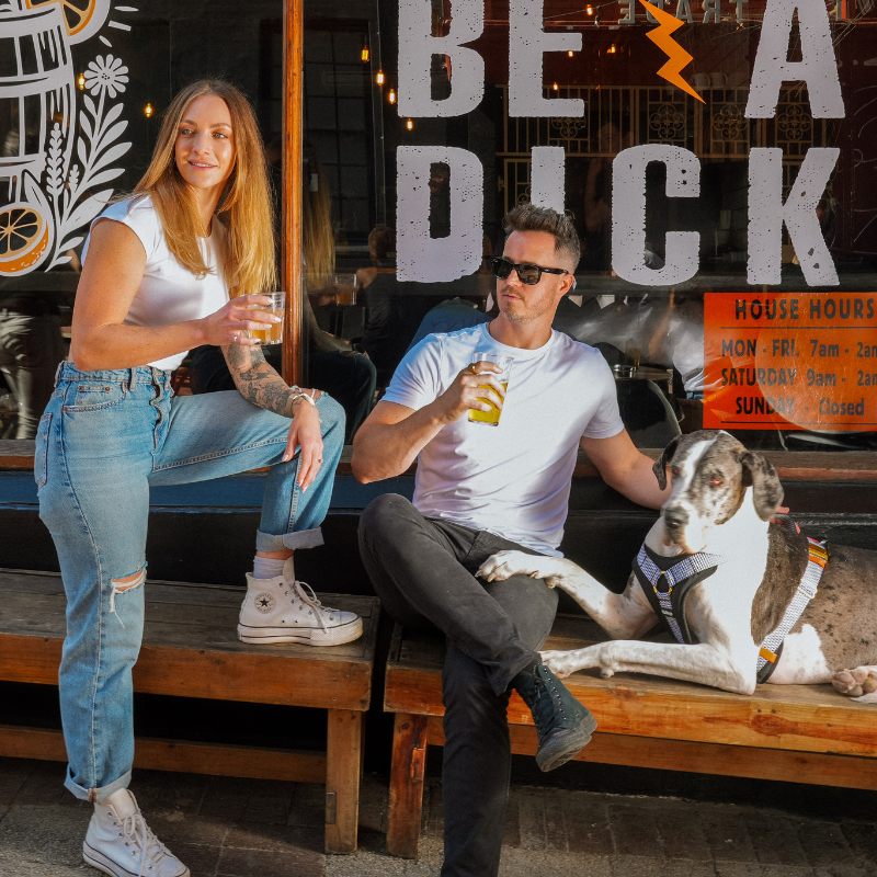 Two people sitting on a bench with a dog, wearing a Hoddogs Cooling Harness, holding drinks, in front of a bar