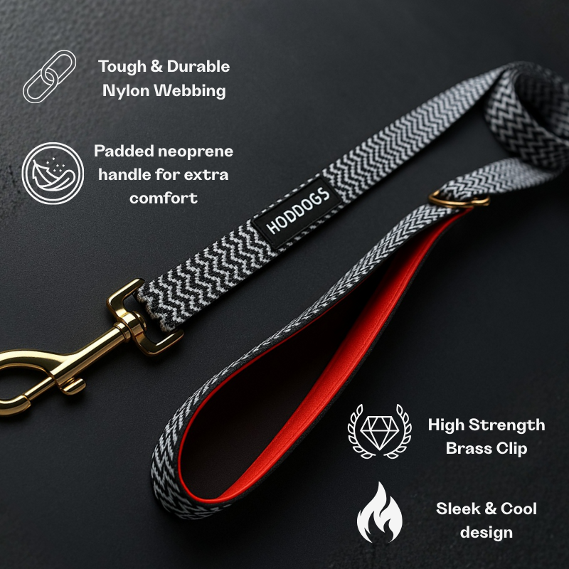 Hoddogs Dog leash with features highlighted on a dark background