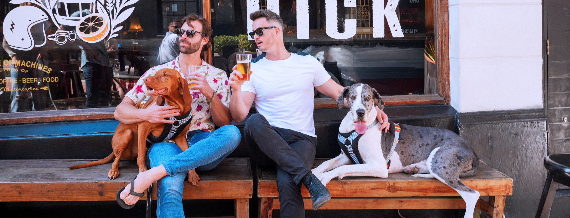 Two men sitting on a bench with dogs wearing the Hoddogs cooling dog vest harness in front of a window with "Dick" on it. 