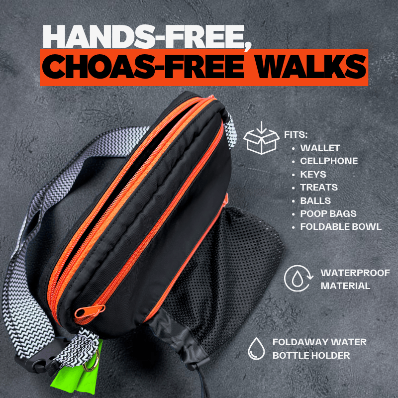 Black dog walking waist bag with orange zipper on a gray background, featuring text about its features.