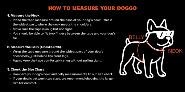 Hoddogs Size measure guide 