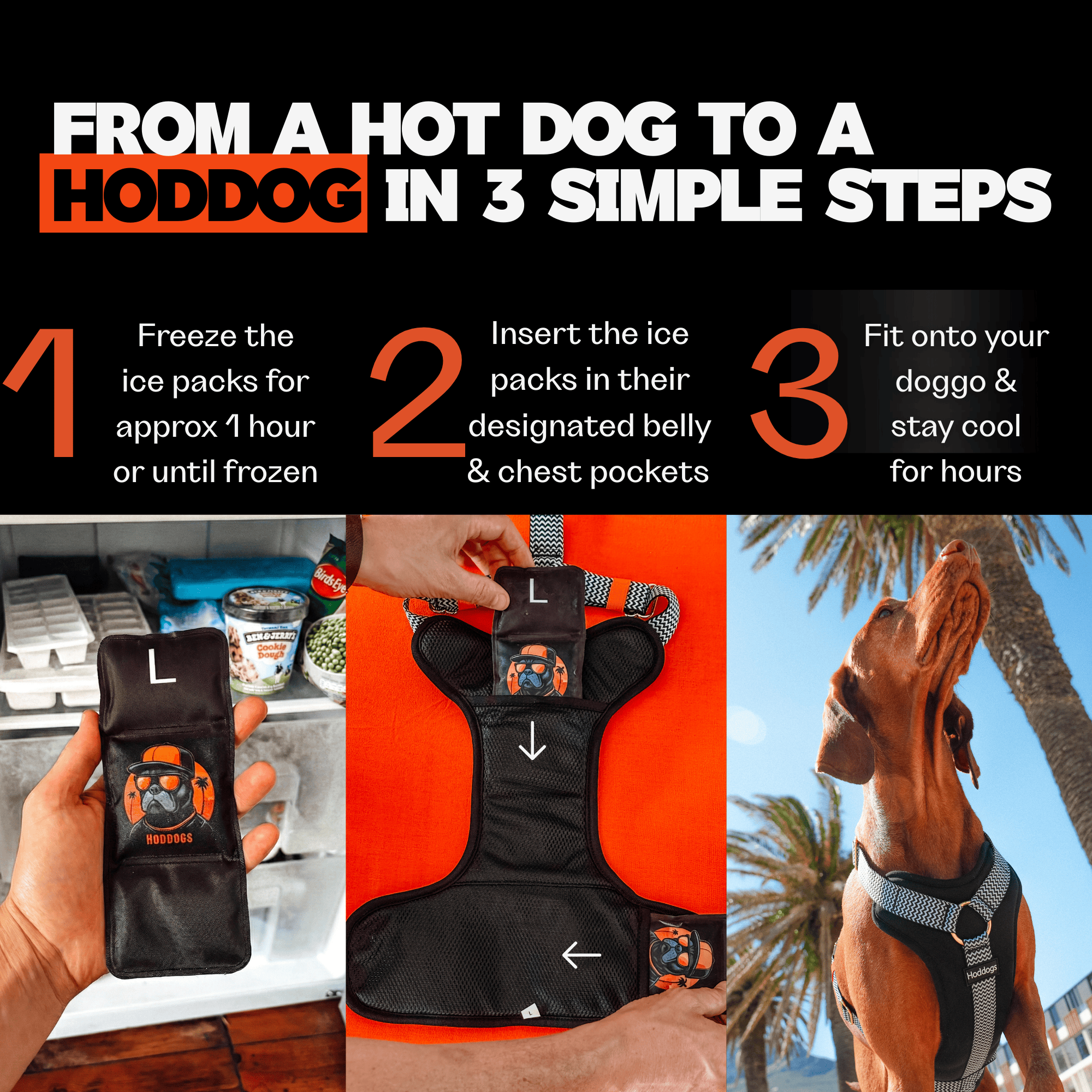 Instructions on how to use a dog cooling vest with images of freezing ice packs, inserting them into the vest, and a dog wearing the vest.