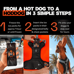 Instructions on how to use a dog cooling vest with images of freezing ice packs, inserting them into the vest, and a dog wearing the vest.