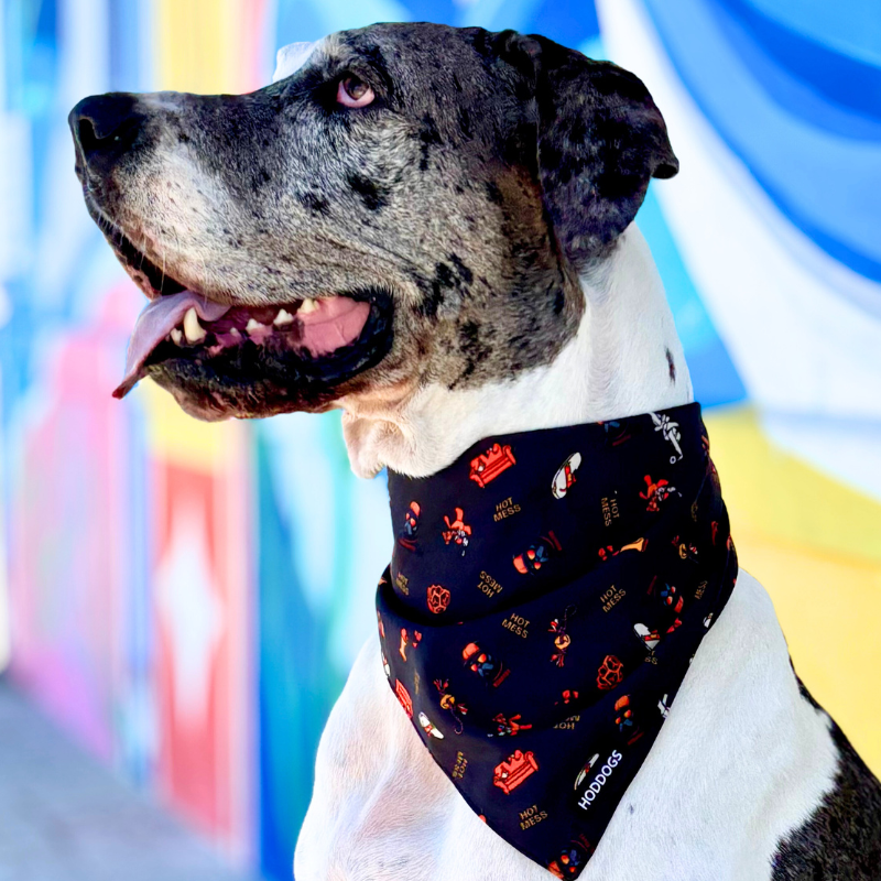 Large Dog wearing a Hoddogs black bandana with red patterns against a colorful background