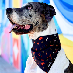 Large Dog wearing a Hoddogs black bandana with red patterns against a colorful background