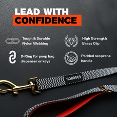 Heavy Duty Dog Leash with Padded Handle