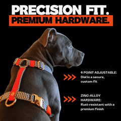 Dog wearing a cooling dog harness with text about precision fit and premium hardware on a black background