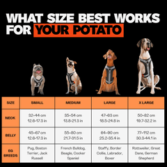 Dog cooling harness size chart with breeds for different sizes on a black background