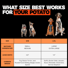 Dog leash size chart with four dogs and text 'What size best works for your potato' on a black background.