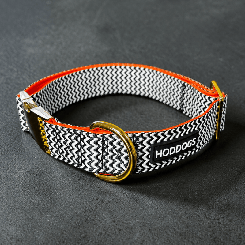 Dog collar with black and white pattern and orange accents on a dark gray background