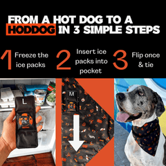 Instructions for using a dog bandana with ice packs, showing a hand holding an ice pack, a patterned bandana, and a dog wearing it.